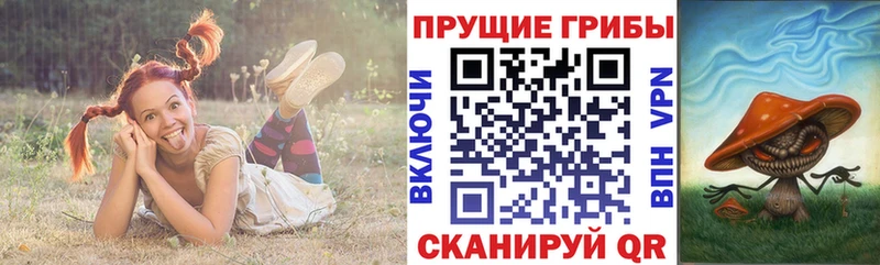 Псилоцибиновые грибы GOLDEN TEACHER  Шумерля 